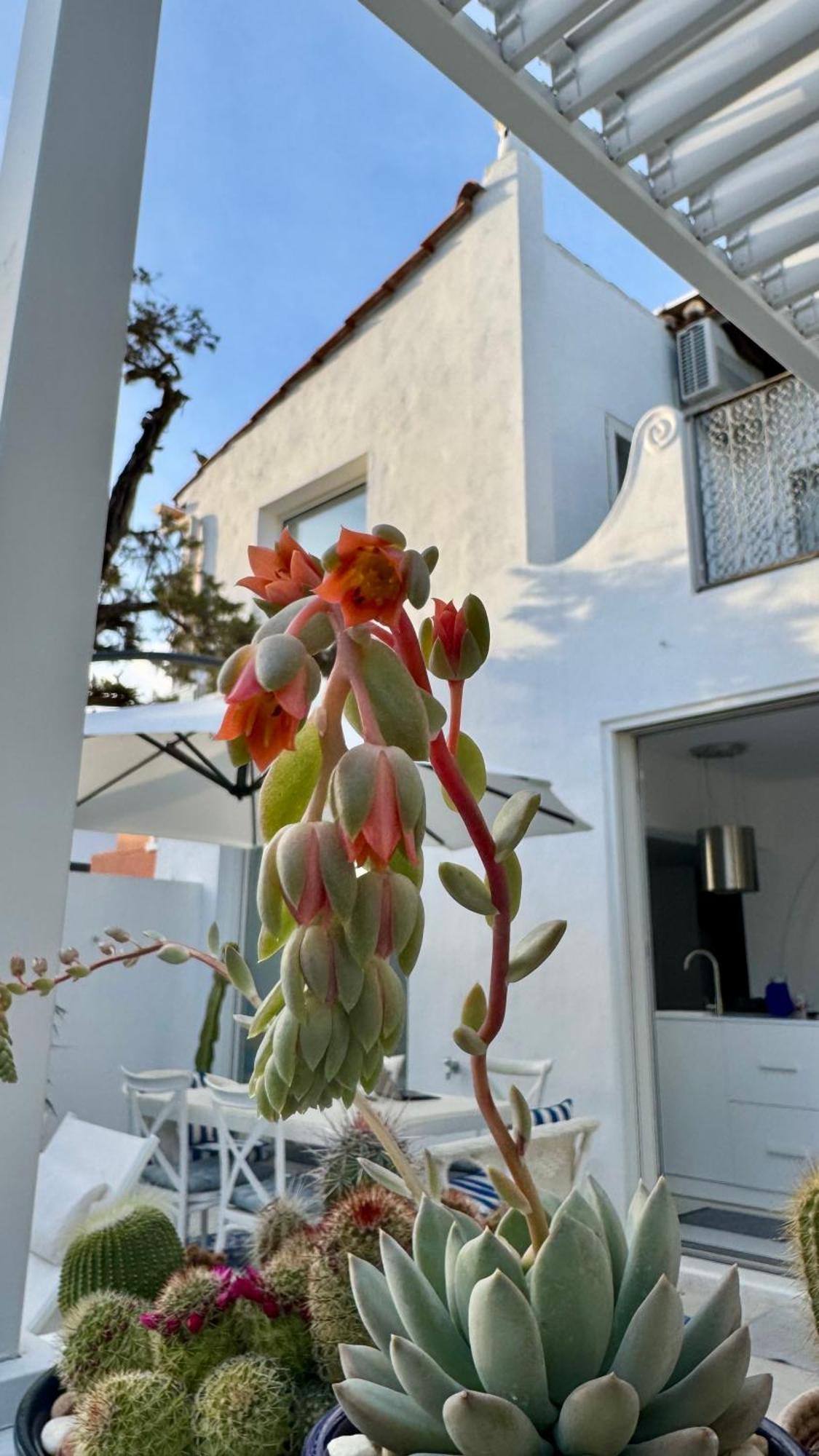 فيلا Casa Blu ماربيا المظهر الخارجي الصورة