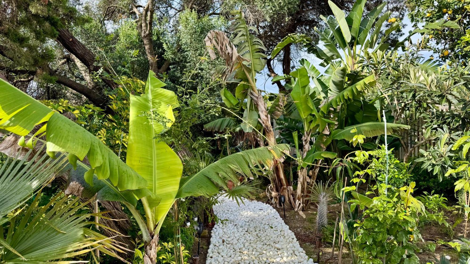 فيلا Casa Blu ماربيا المظهر الخارجي الصورة